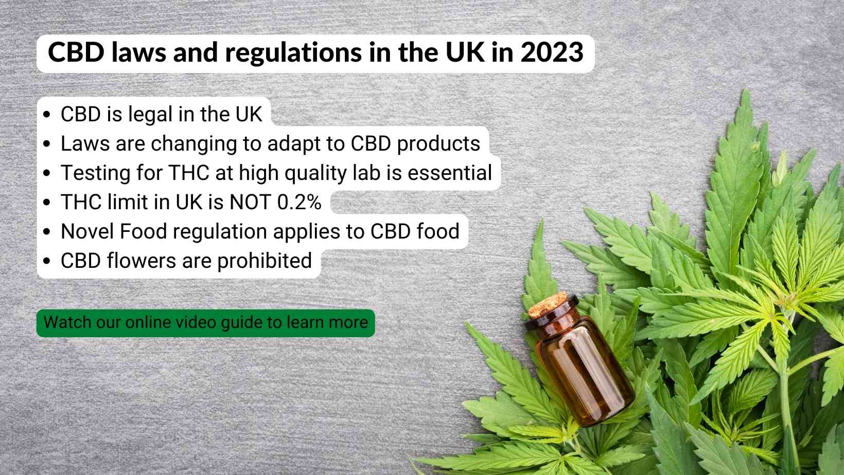 Key cbd laws and regulations in the UK