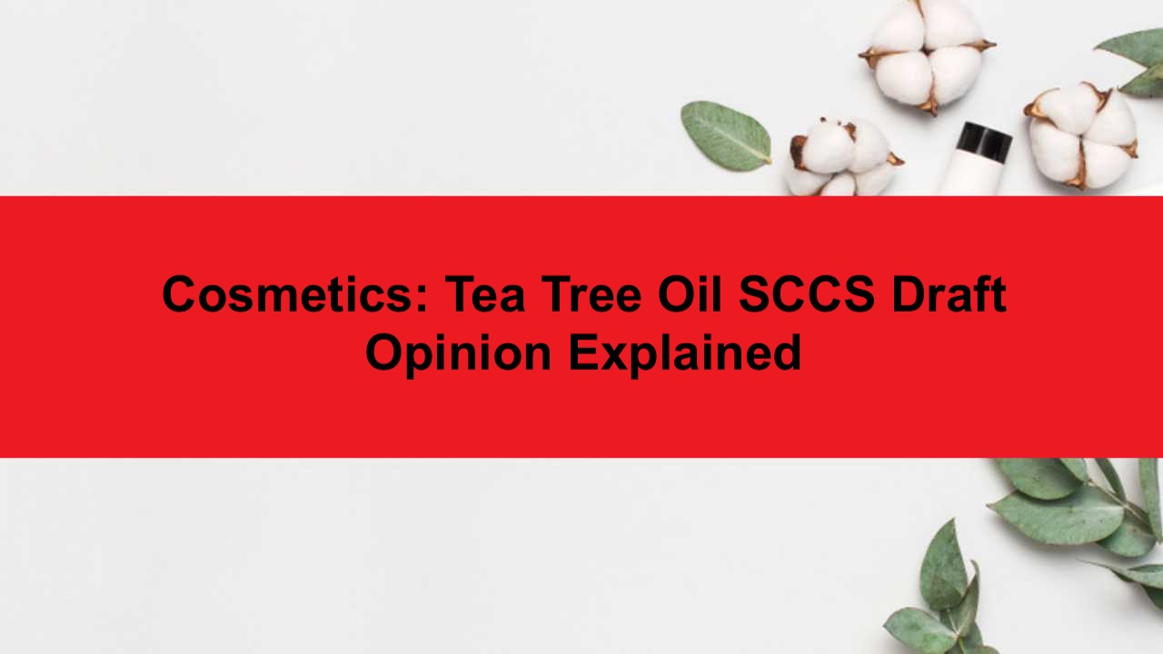 Tea Tree Oil Safety: SCCS Draft Opinion Explained